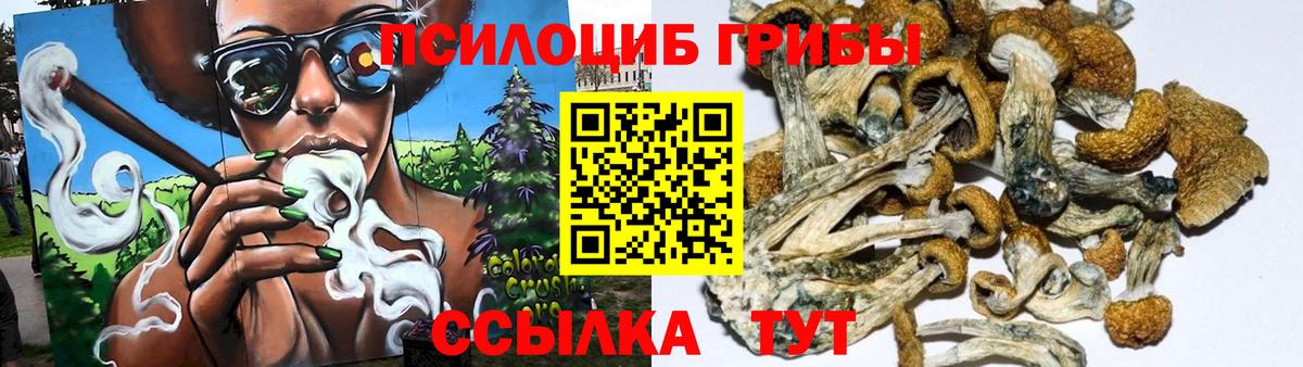 Первоуральск  Псилоцибиновые грибы мухоморы  Псилоцибиновые грибы ЛСД  Вход с VPN 